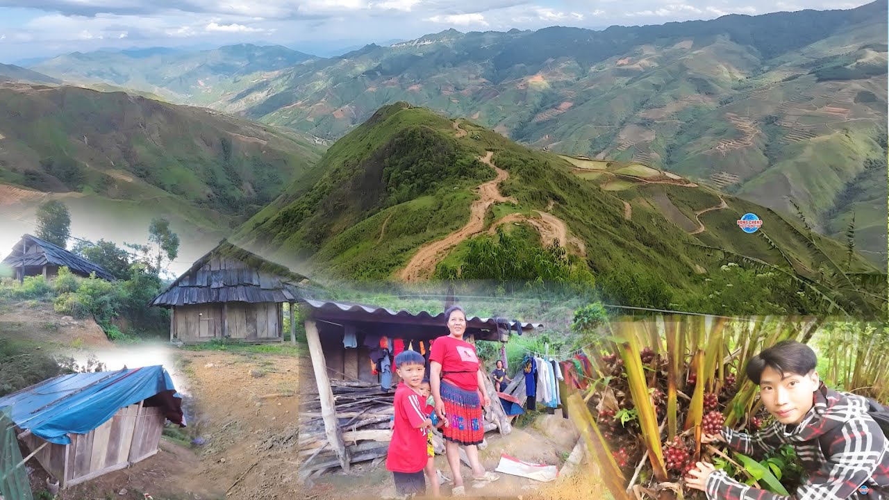 NCIG MUS ZOS HMOOB LAJ XAV LOJ NIAM  XAJ XAV MES TOJ SIAB 2024