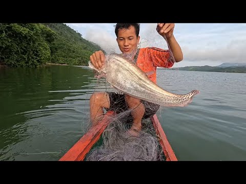 Mus suav moos mag ntse loj kawg thiab hlai ya