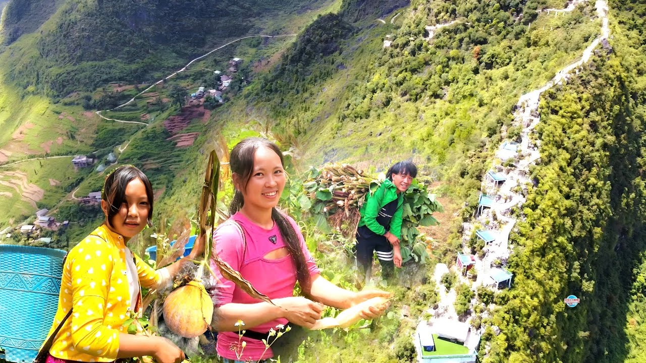 NCIG MUS SAIB KWV TIJ HMOOB ZOS HAV PUJ TSWM, ZOS HAV FAB TOJ SIAB KEV NYOB KEV KHWV 2024