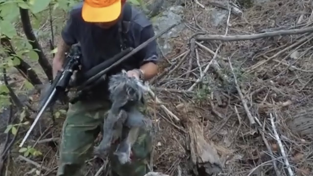 Squrrel Hunting yos hav zoov tua nas 9/28/24