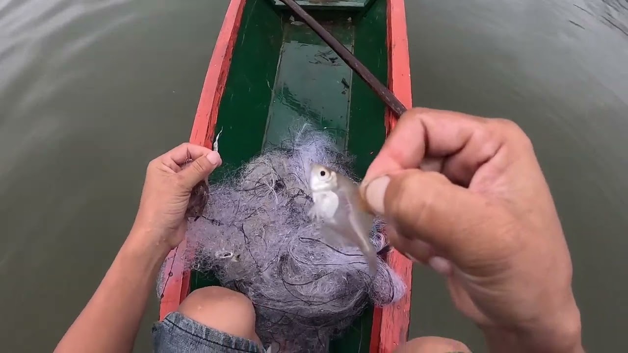 coj me nyuam mus cuab ntse