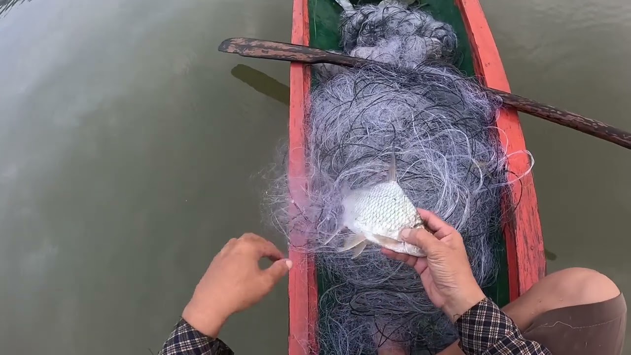 nrog kuv mus suav moos seb pua tau ntse nawb