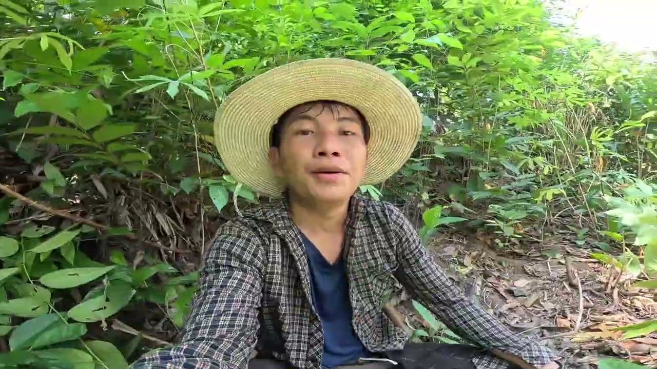 Tuaj luaj ntoos yas mas sab kawg li