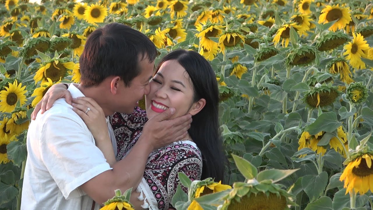 Txij Nkawm Txoj Kev Hlub Nrog Paj Hnub Hli