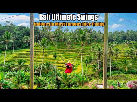 BALI STUNNING SWINGS where dreams take flight