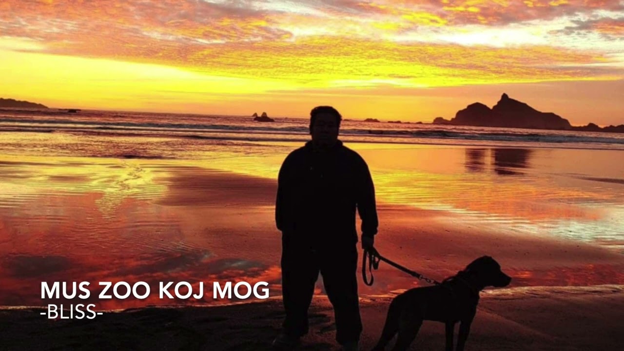 Mus Zoo Koj Mog – Bliss