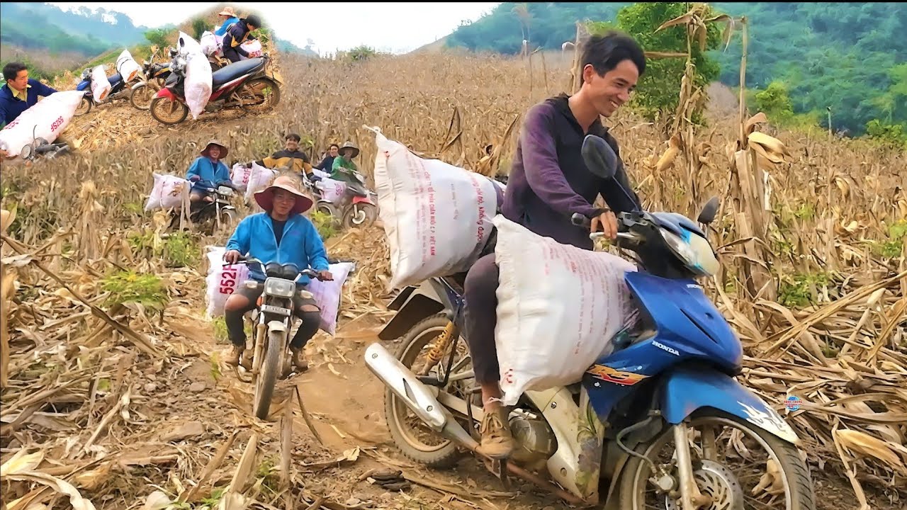 NCIG MUS SAIB HMOOB TOJ ROOB SIAB KHWV LUAG NTXI KAJ SIAB LUG 2024
