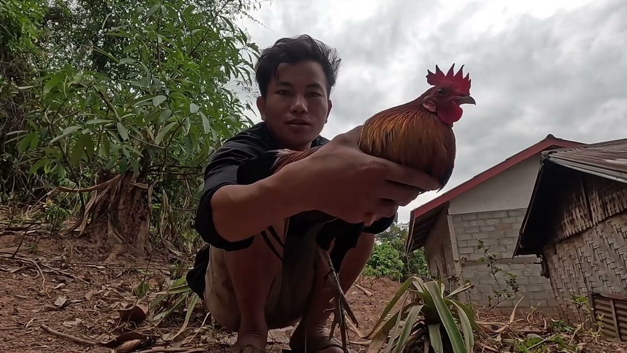 saib me nyuam qaib dib