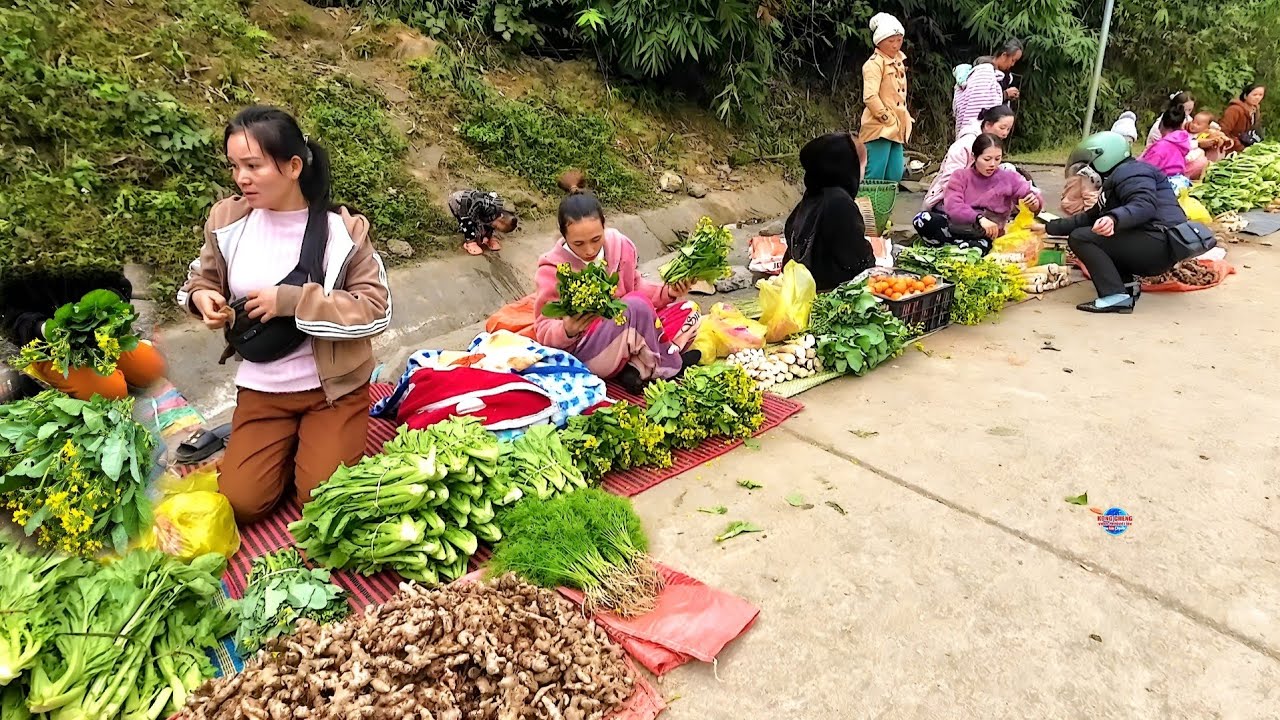 COJ NEJ MUS NCIG TAJ LAJ KEV HLUB15 CIAM TEB NYAB LAJ-NPLOG 2025