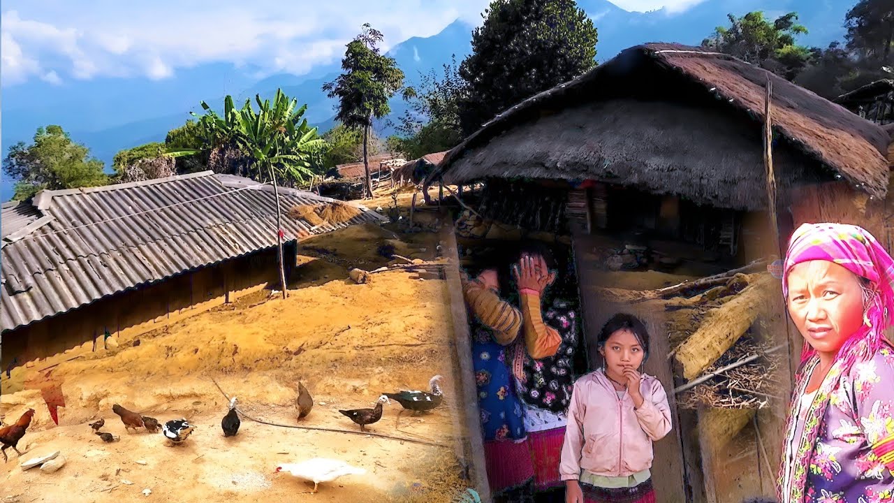 NCIG ZOS HMOOB TOJ ROOB SIAB RAUG POJ NTXOOG HEM POOB PLIG TAG 1/13/2025