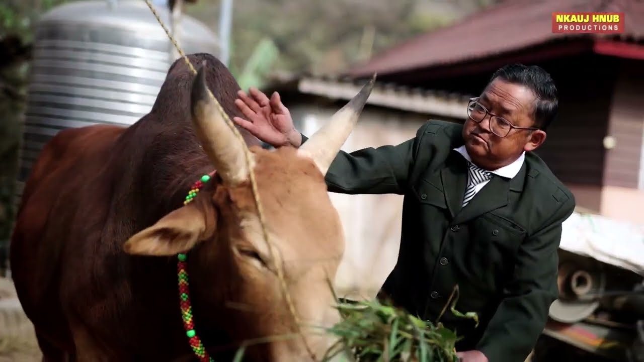 tsis xav laus tuag MV  By Hwm Lauj  Nkauj tshiab