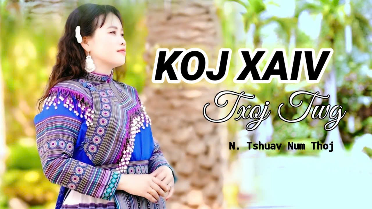 K0J XAIV TXOJ TWG? \ NIAM TSHUAV NUM NKAUJ NTSEEG TAWM TSHIAB 2025