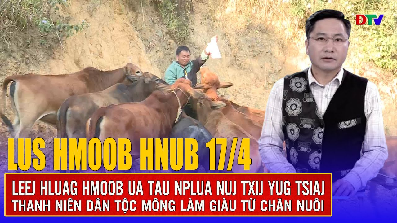 Leej hluag Hmoob ua tau nplua nuj txij yug tsiaj | Xov tooj cua lus  Hmoob Dien Bien 172025
