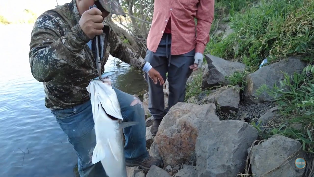 Striper fisfing in Sacramento river 4/12/25