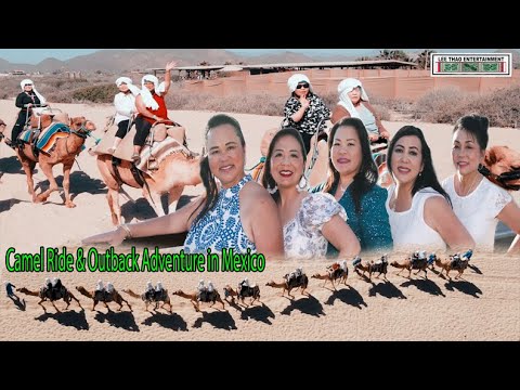 UNFORGETTABLE Camel Ride & Outback Adventure in Mexico. CRUISE to  MEXICO day 3