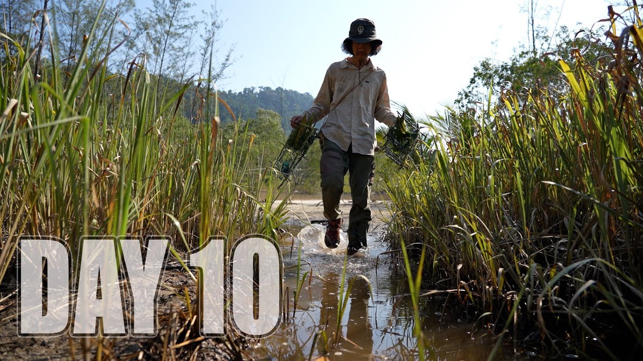เอาชีวิตรอด DAY 10  ทำกับดักปูและเสริมที่พักให้ปลอดภัย  ….!!   [ โจโฉ ]