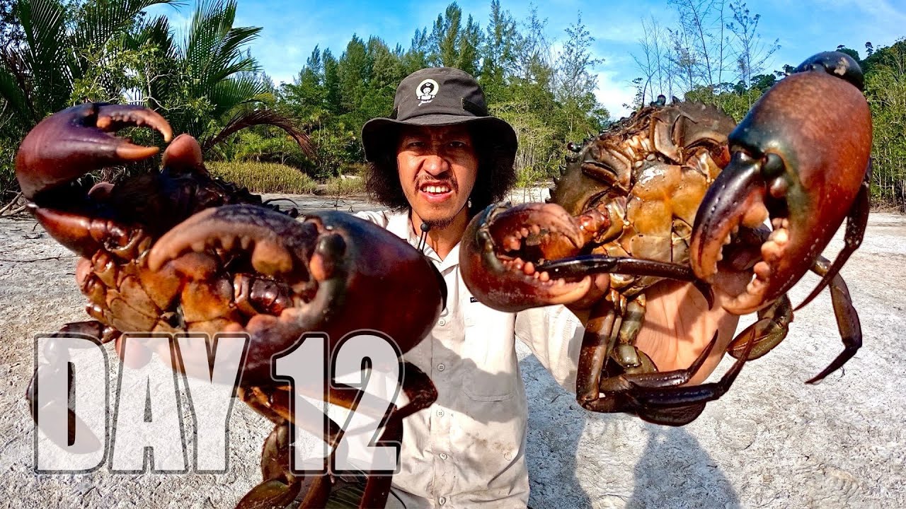 เอาชีวิตรอด DAY 12  ได้อาหารมื้อใหญ่ในป่าชายหาด  ….!!   [ โจโฉ ]