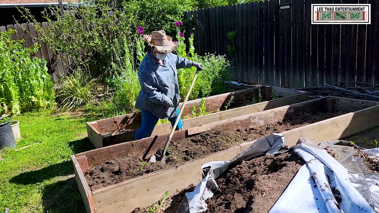 Making Garden Beds. Ua dab cog  zaub