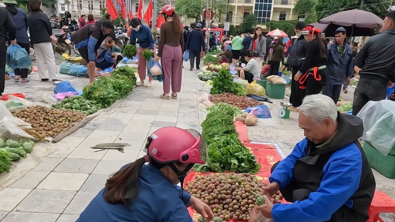 NCIG KIAB KHW MEO VAC HAZA NORTHERN VIETNAM 5/2025