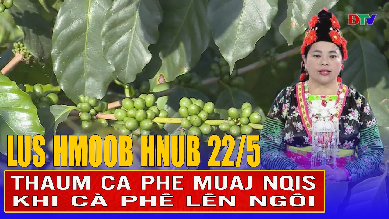 Thaum Ca phe muaj nqis | Xov tooj cua lus Hmoob Dien Bien 22-5-2025  | Điện Biên TV