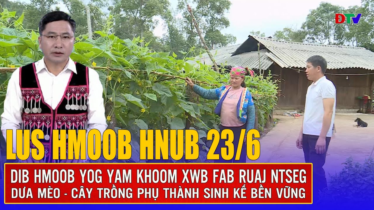Dib Hmoob yog yam khoom xwb fab ruaj ntseg | Xov tooj cua lus Hmoob  Dien Bien 23-6-2025