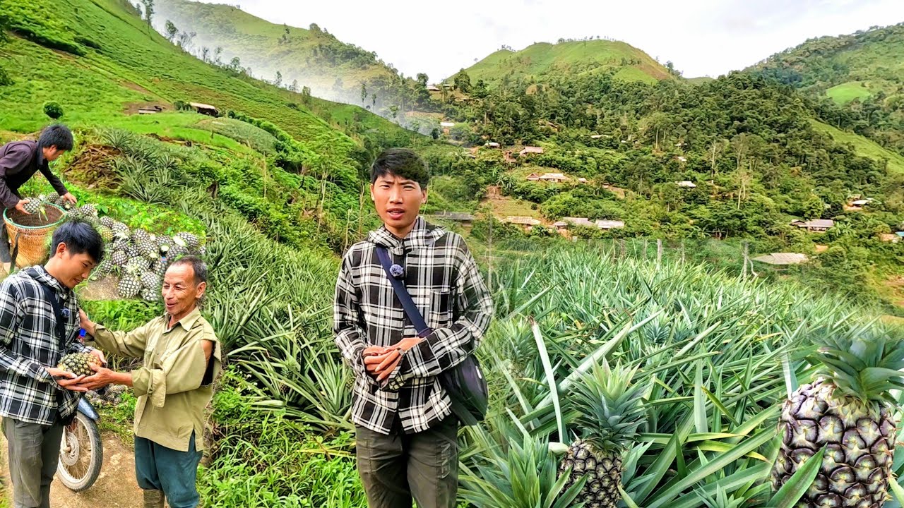 NCIG MUS ZOS PHU THEE CIAM TEB NYAB LAJ NPLOG 6/2025