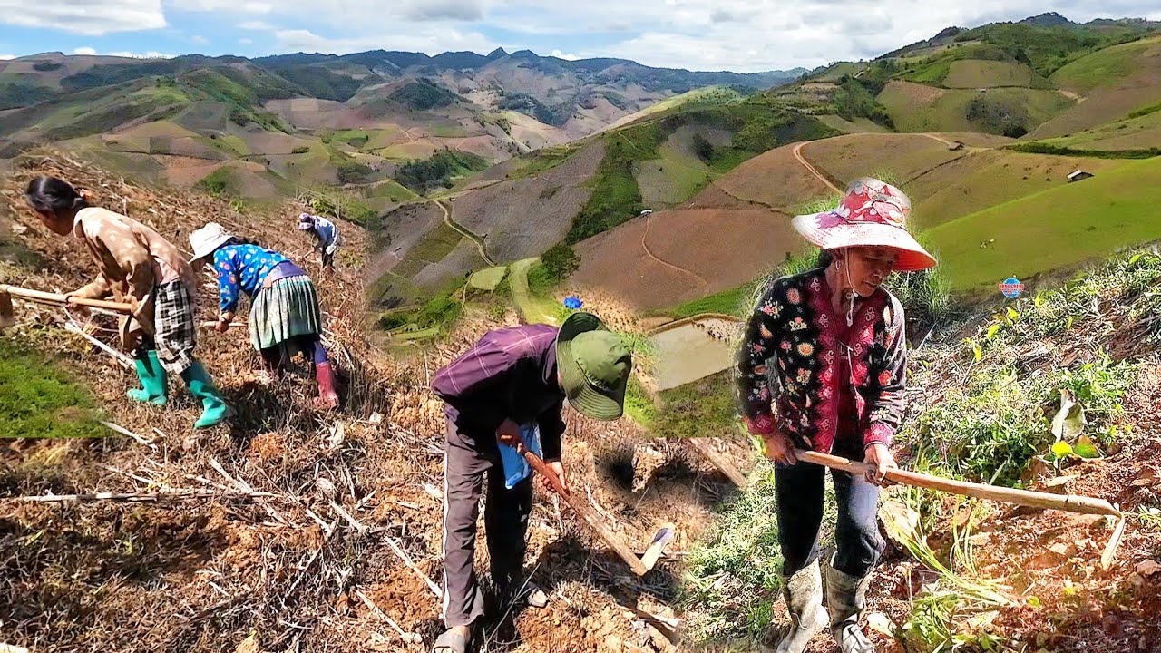 NCIG ZOS HAV LWS ZAJ, ZOS HAV TUAM TSWM HMOOB LUB NEEJ 6/2025