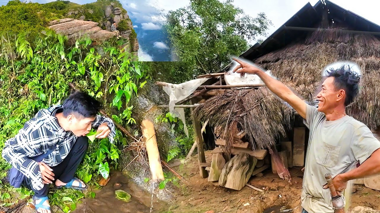 ZOS HMOOB ROOB TXIV NYUJ 6/2025