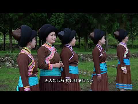 [Clip:] Traditional Hmong Folk Song From Qianxi Prefecture, Guizhou  Province 贵州黔西 苗族歌曲