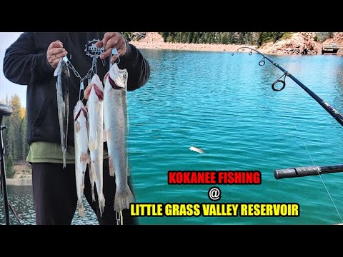 Kokanee Trout Fishing at La Porte, California
