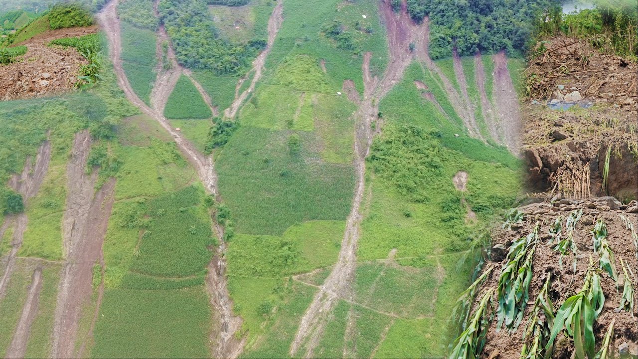 NTUJ NAG,CUA LOJ ,AV POB HMOOB LIAJ TEB PUAS NTSOOG 7/27/2025