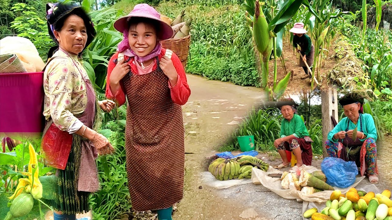 TRAVELS HMONG LIFE IN NORTHERN VIETNAM 8/2025