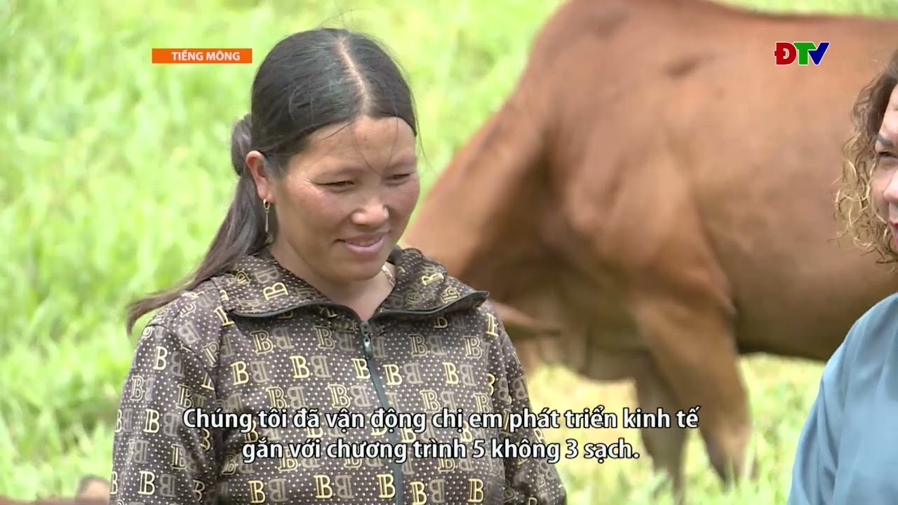 CHƯƠNG TRÌNH TRUYỀN HÌNH TIẾNG MÔNG 22-9-2025| Điện  Biên TV