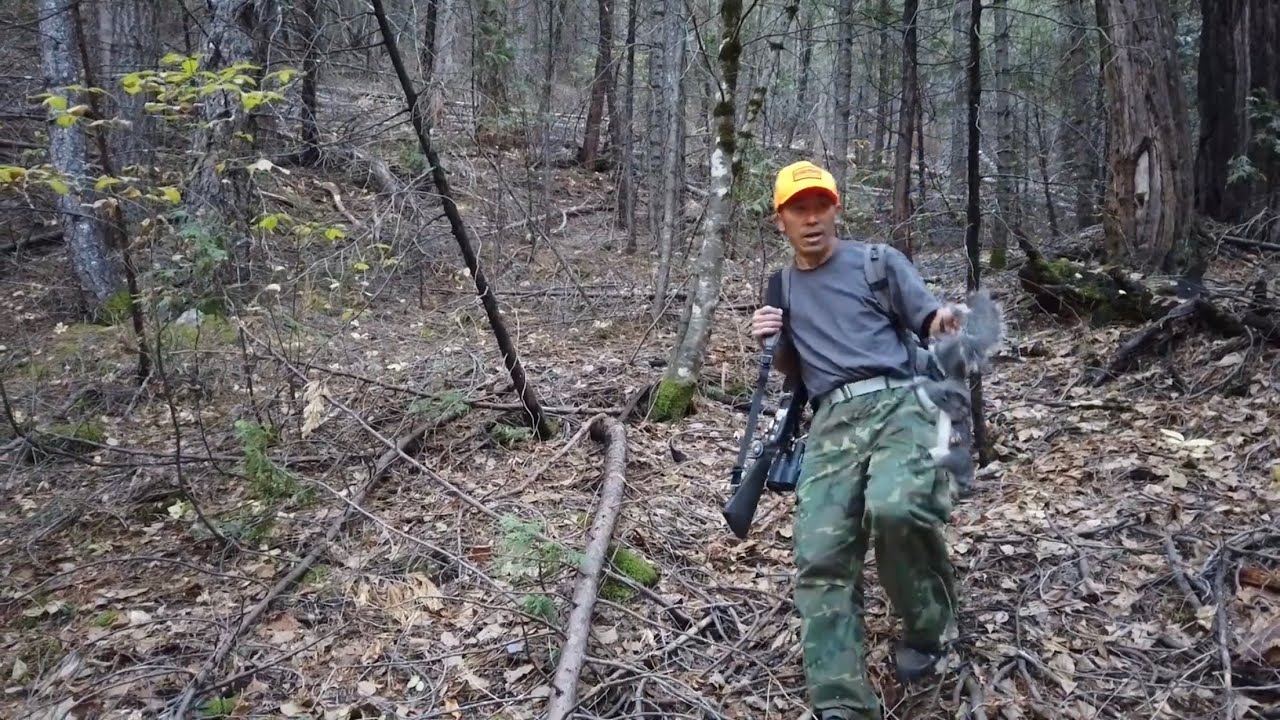 Squirrel hunting yos hav zoov tua nas 9/2025