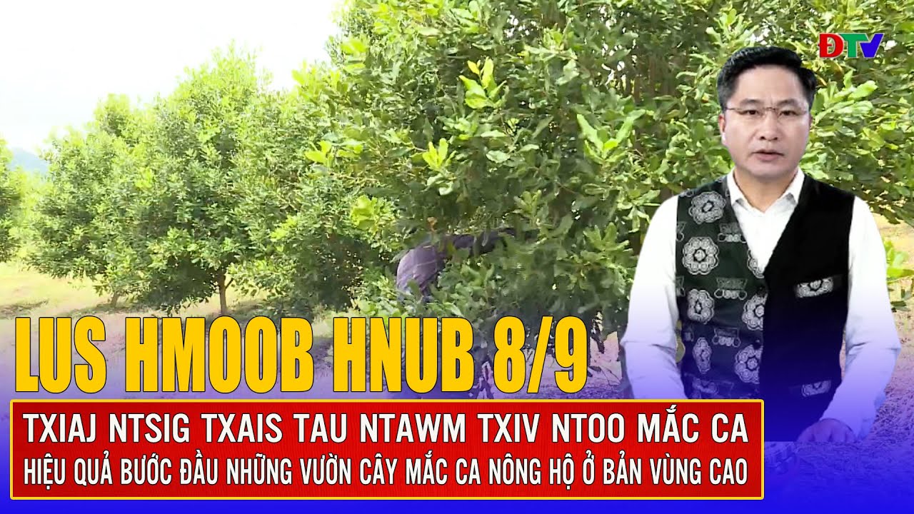 Txiaj ntsig txais tau ntawm txiv ntoo mắc ca | Xov tooj cua lus  Hmoob Dien Bien 8-9-2025