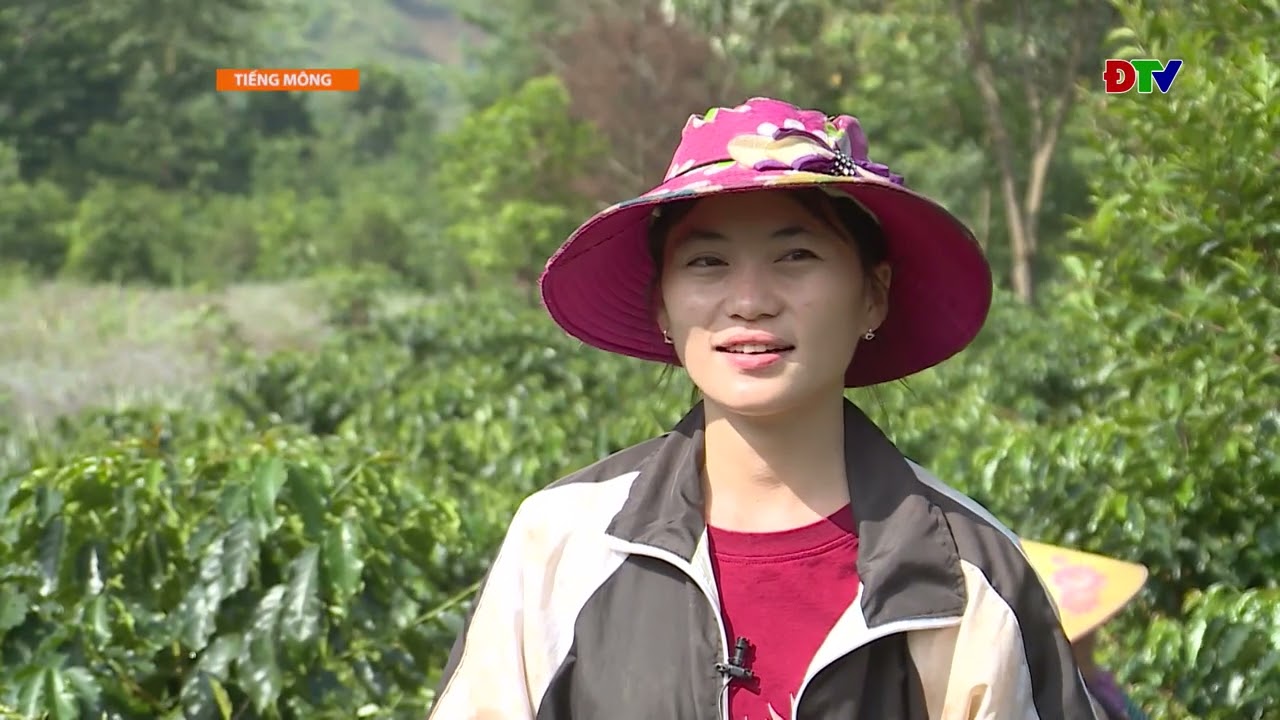 ĐIỆN BIÊN – Xov tooj cua lus Hmoob Dien Bien (Hnub 27-10-2025) |  Điện Biên TV
