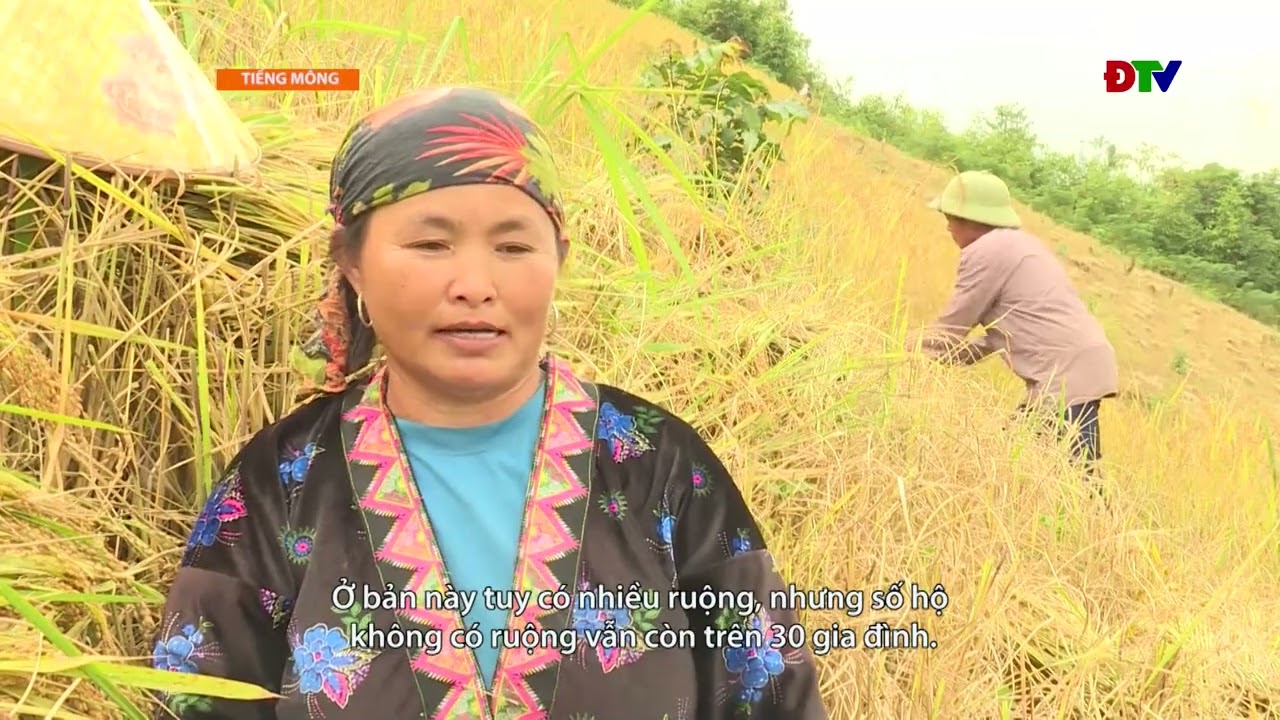 ĐIỆN BIÊN – Xov tooj cua lus Hmoob Dien Bien (Hnub 30-10-2025) |  Điện Biên TV