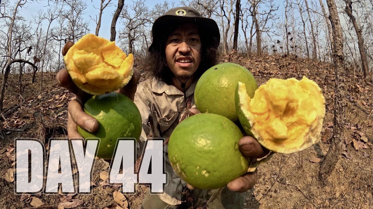 เอาชีวิตรอด DAY 44  วิธีการหาอาหารในป่าเต็งรัง..  [ โจโฉ ]
