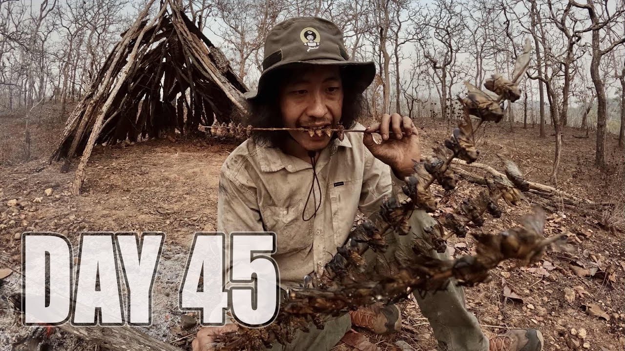 เอาชีวิตรอด DAY 45  อาหารที่หาได้ไม่ยาก  ในป่าเต็งรัง.. [ โจโฉ ]