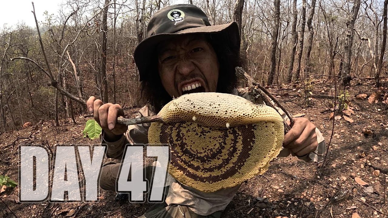 เอาชีวิตรอด DAY 47  ของหวานจากป่าเต็งรัง.. [ โจโฉ  ]