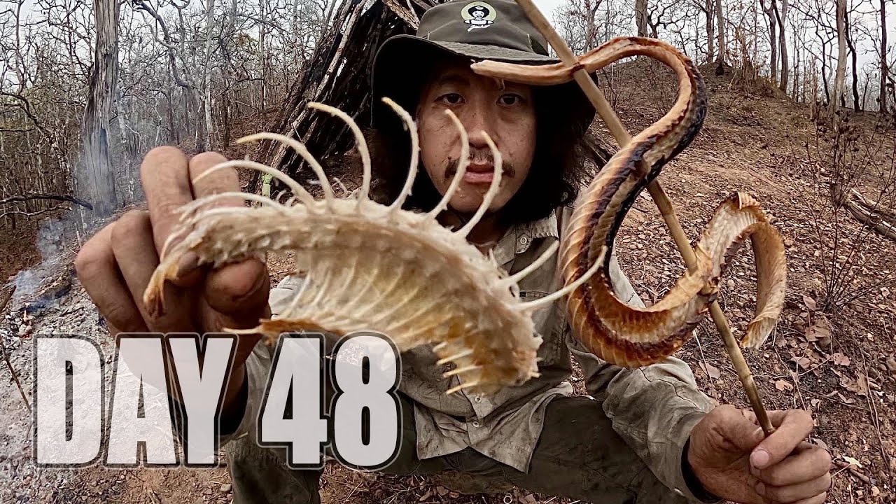 เอาชีวิตรอด DAY 48   กินงูเห่าพ่นพิษเป็นอาหาร .. [  โจโฉ ]