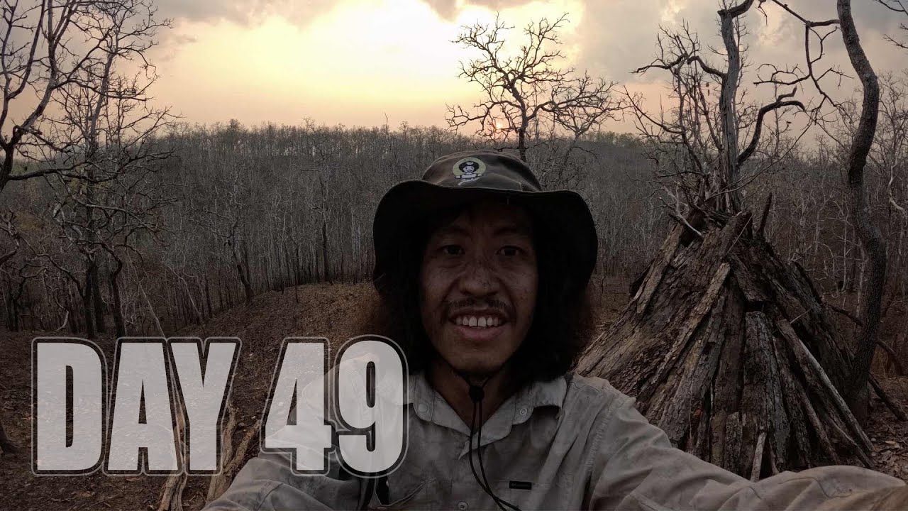 เอาชีวิตรอด DAY 49  สิ้นสุดป่าเต็งรัง …  มุ่งสู่ป่าสนเขาป่าที่หาอาหารยากที่สุด  .. [ โจโฉ ]