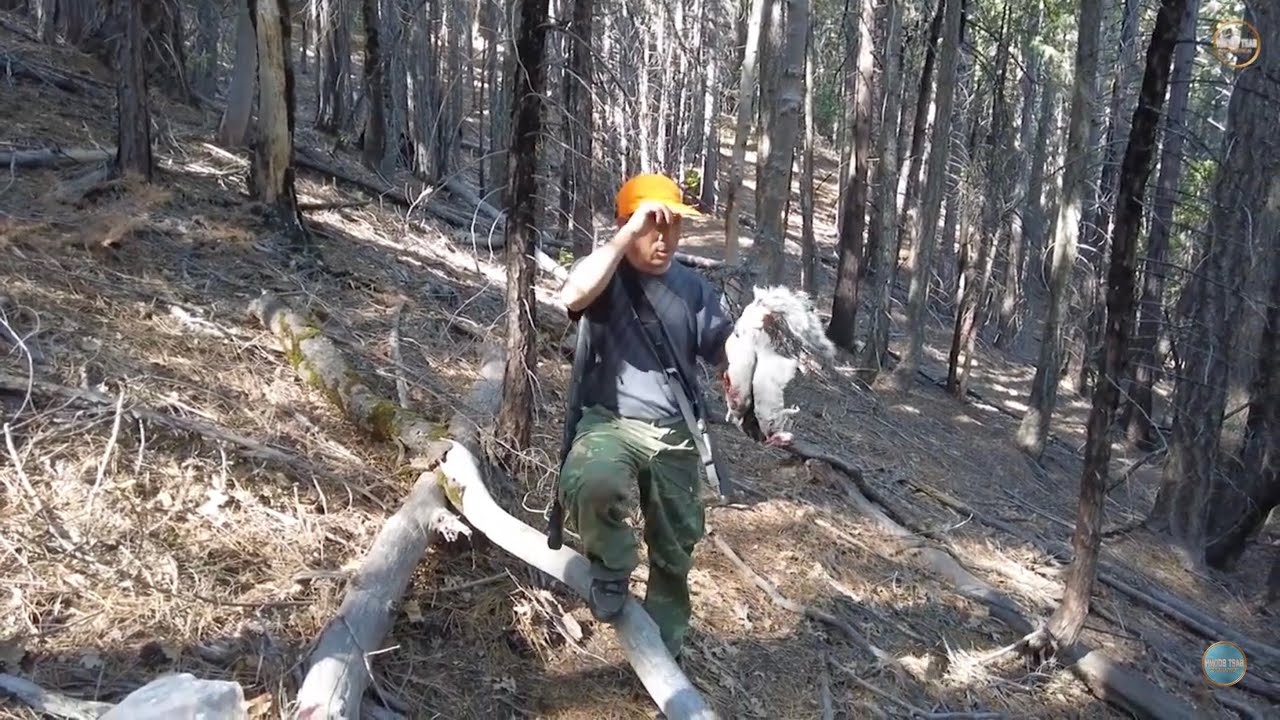 Squirrel hunting 9/2025 yos hav zoov tua nas