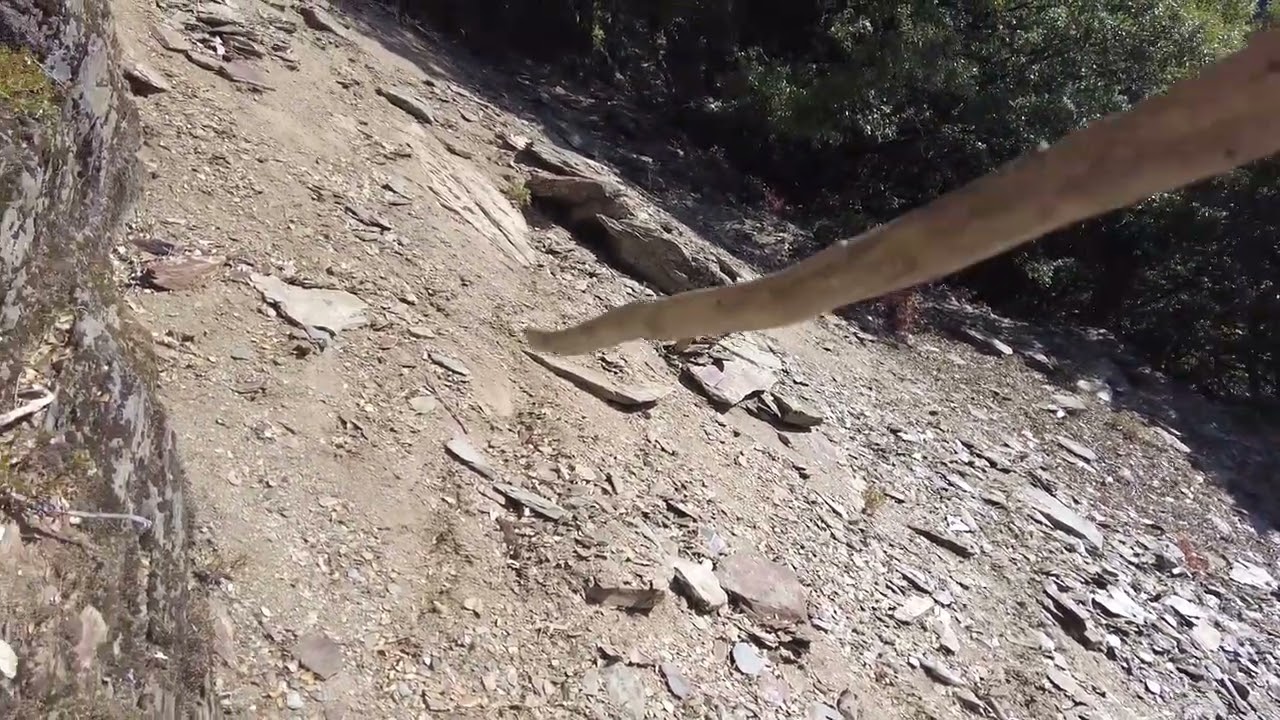 Squirrel hunting 9/ 2025 yos hav zoov tua nas