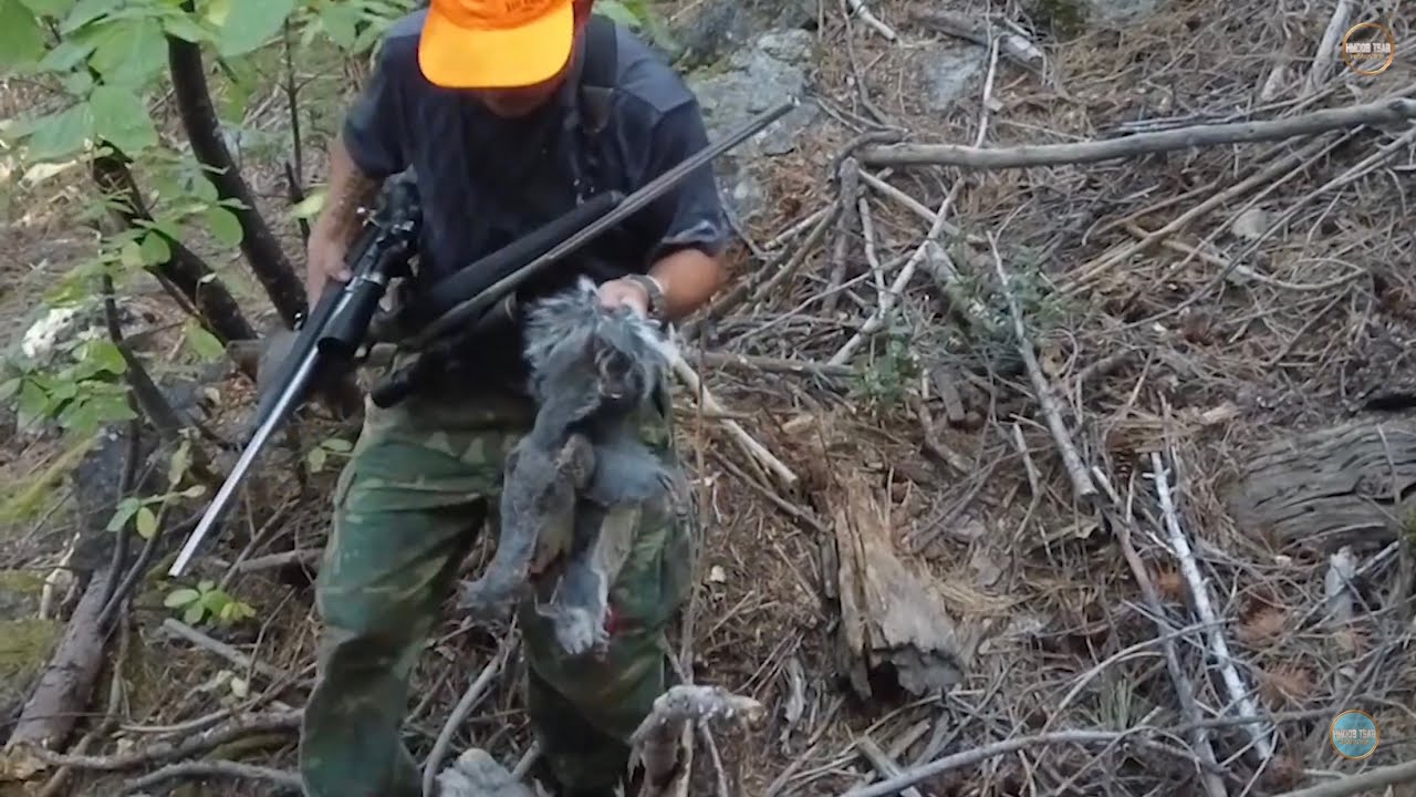 Squirrel hunting yos hav zoov tua nas 2025