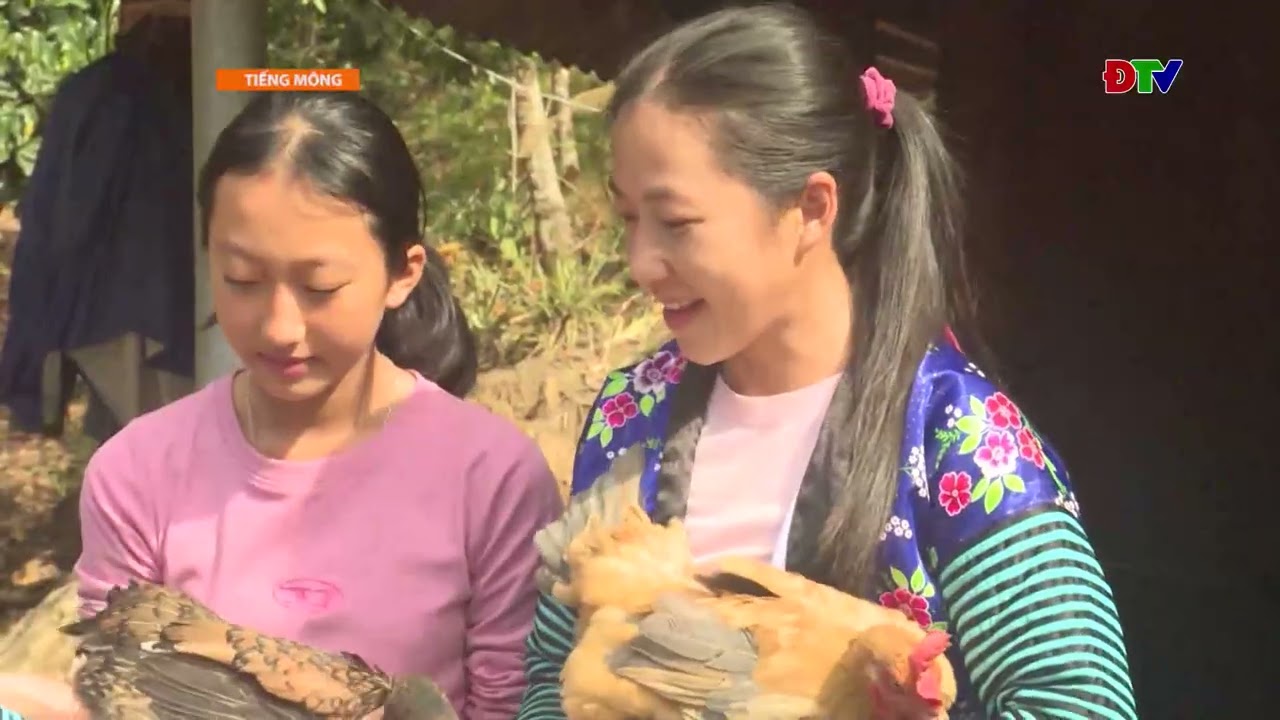 ĐIỆN BIÊN – Xov tooj cua lus Hmoob Dien Bien (Hnub 15-12-2025) |  Điện Biên TV