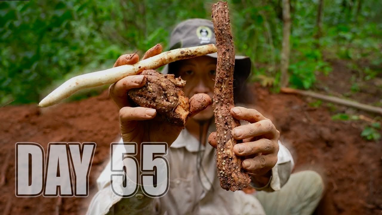 เอาชีวิตรอด DAY 55  ขุดหาอาหารใต้ดิน…!!  ในป่าสนเขา…!! [ โจโฉ ]