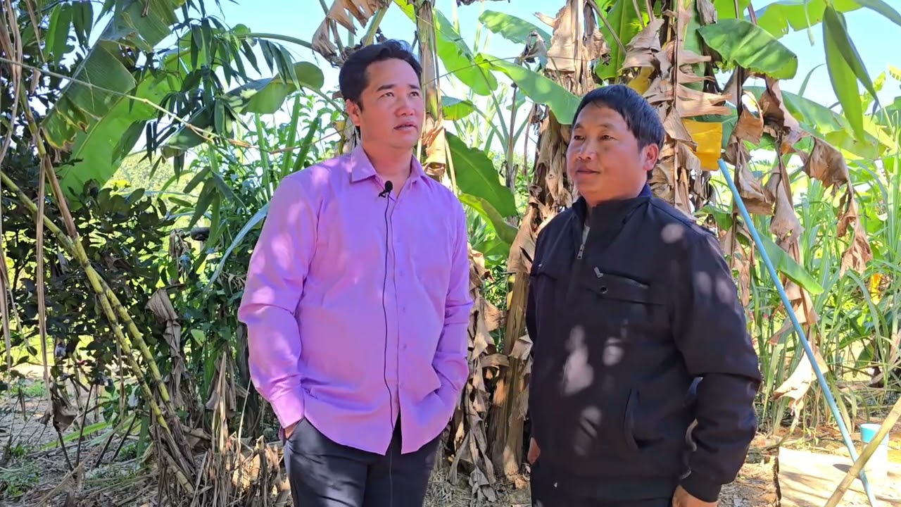 Kwv txhiaj tsis muaj kwv tij by Pov Muas thiab Thaiv Vaj