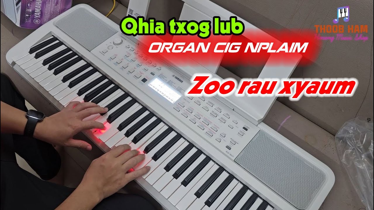 Review Ez310 – Organ rau menyaum xyaum || Thoob Ham – Music Shop