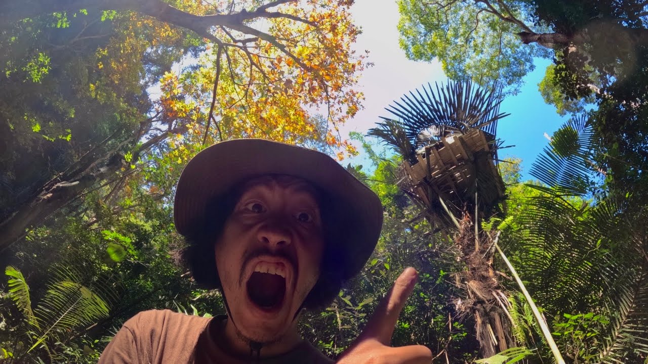 สร้างบ้านต้นไม้…  ในป่าลึก ใช้ชีวิต 2 วัน 1 คืน….  [ โจโฉ ]